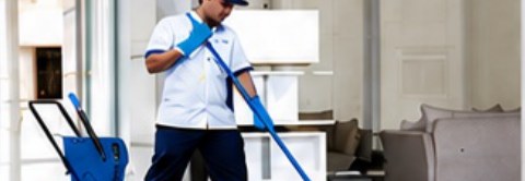 Professional Cleaning